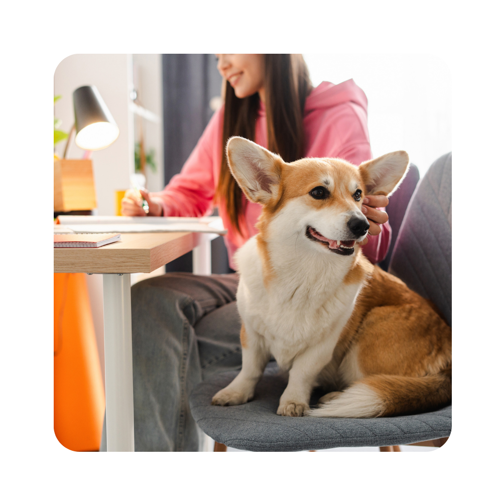 Changing Profile Types-1