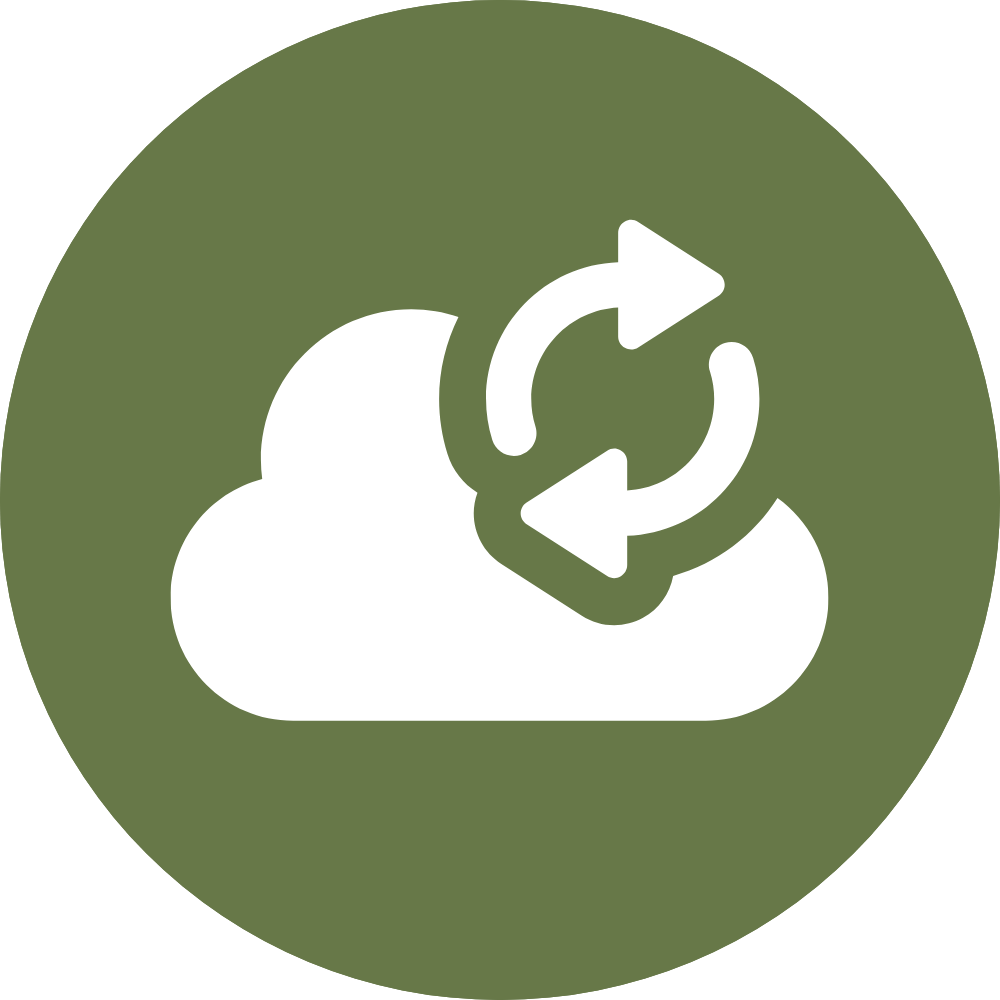 Data Sync Icon