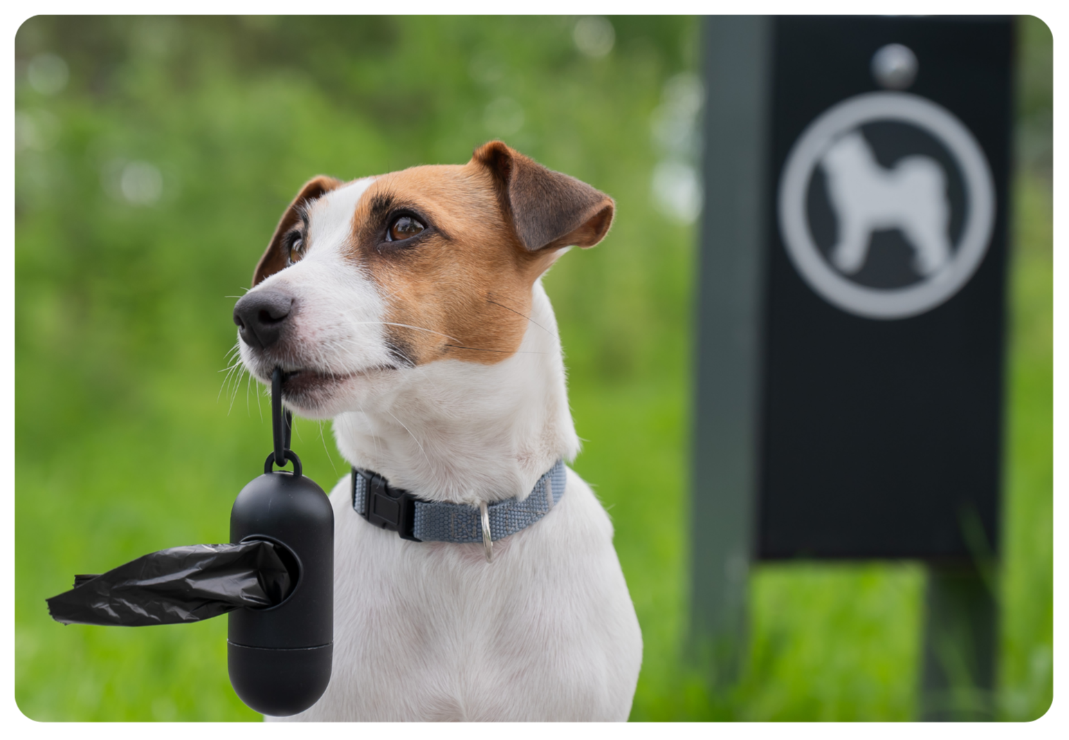 PooPrints x PS Integration 1-Pagers_Template (1)-1