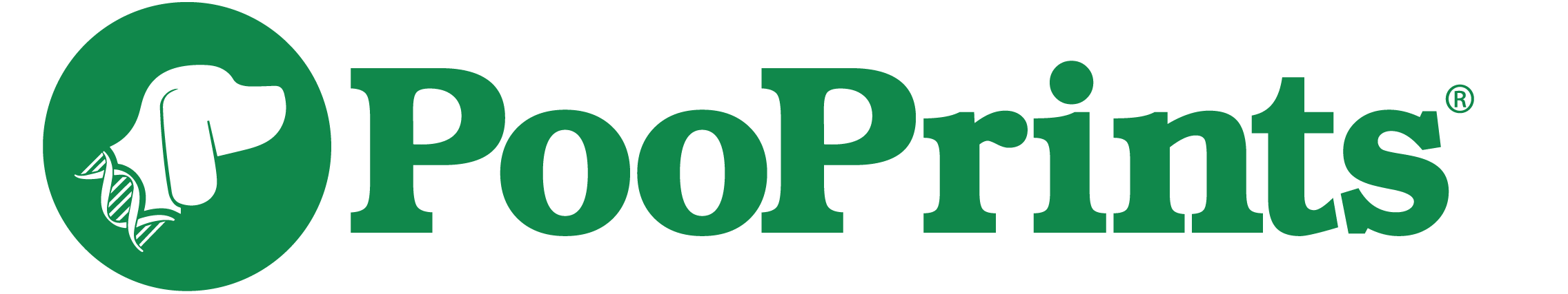 a44f52_d241140c9e984d139df1ededc9110144~mv2-1