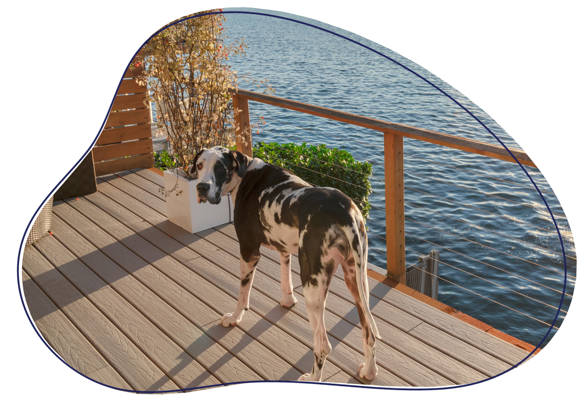 Untitled design - 2025-11-18T122330.886 Untitled design - 2025-11-18T122330.886